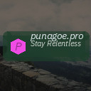 punagoe.pro